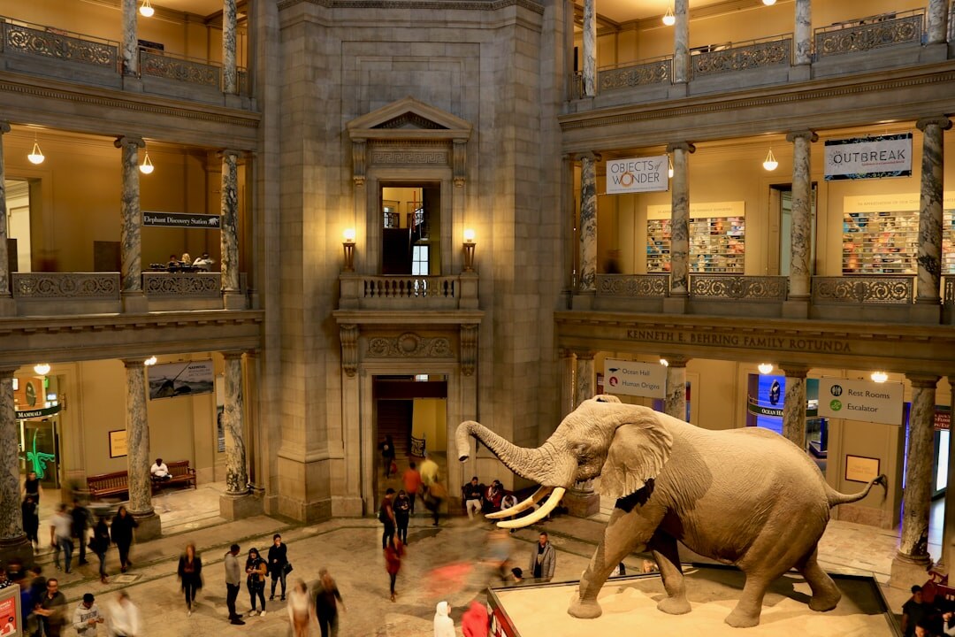 virtual museum tour
